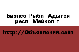 Бизнес Рыба. Адыгея респ.,Майкоп г.